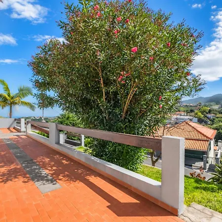 Hébergement de vacances Silva Retreat São Jorge